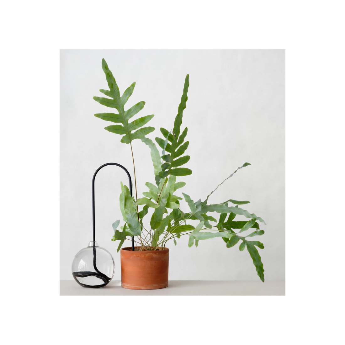 Plant Straws Medium – plantstraws